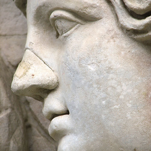 How much does the perfect nose cost?