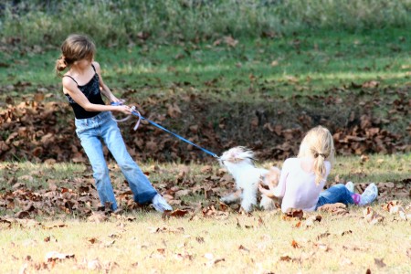 Pet allergies are common for all ages
