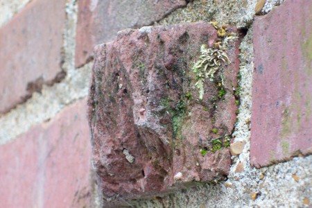 Mold &amp; Mildew