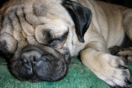 Getting enough rest is essential