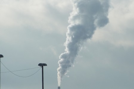 Pollution can irritate your sinuses